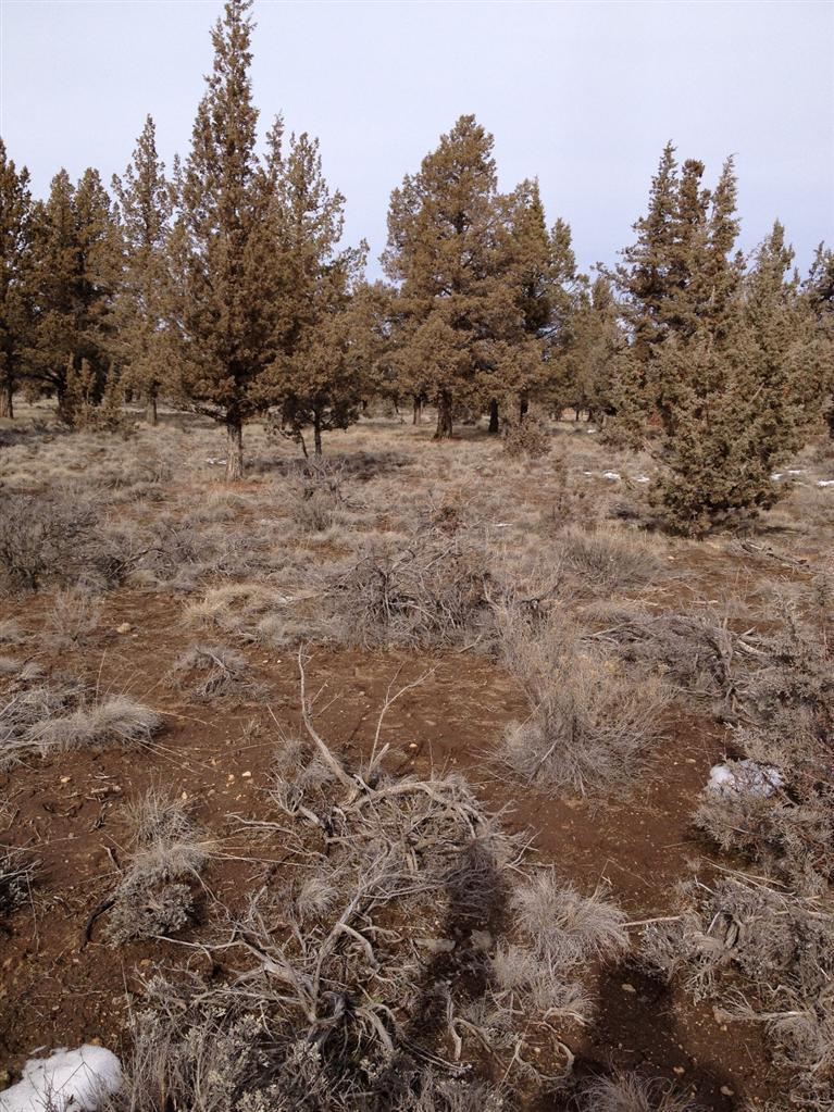9560 Geneva View Road Terrebonne, OR 97760 - Photo 1 of 3 Primary Photo