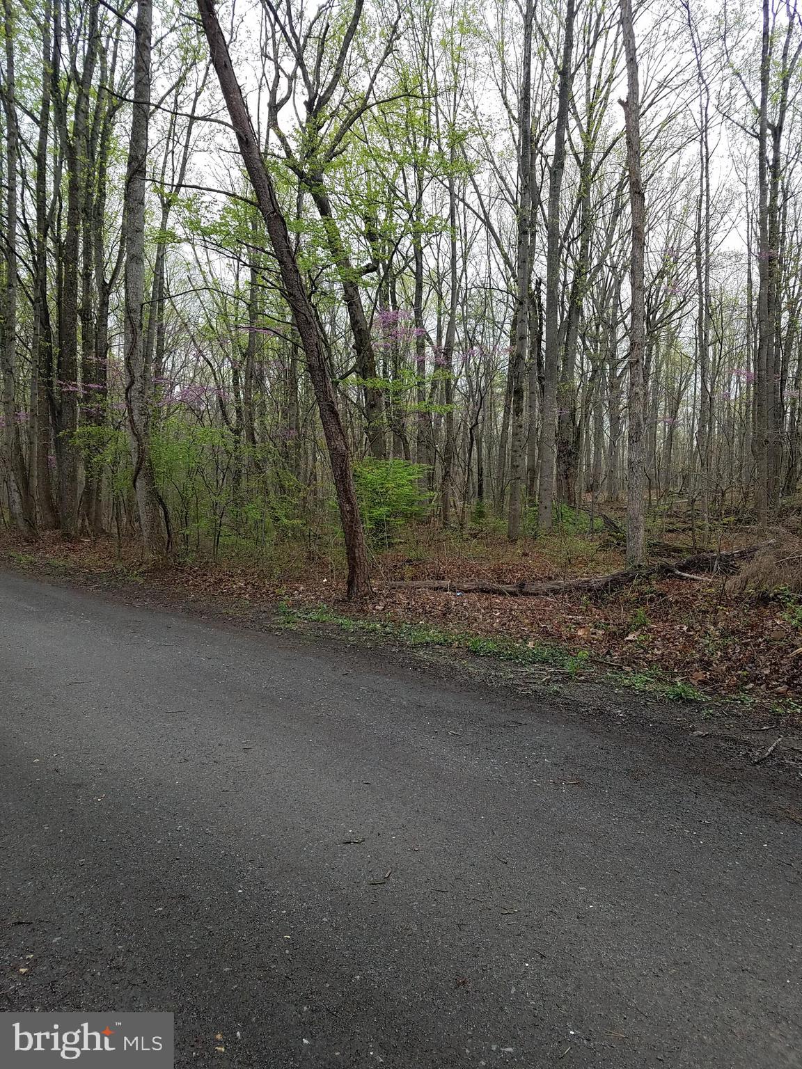 0 Milan Ridge Road Elkwood, VA 22718 - Photo 3 of 8 Gallery Image 3