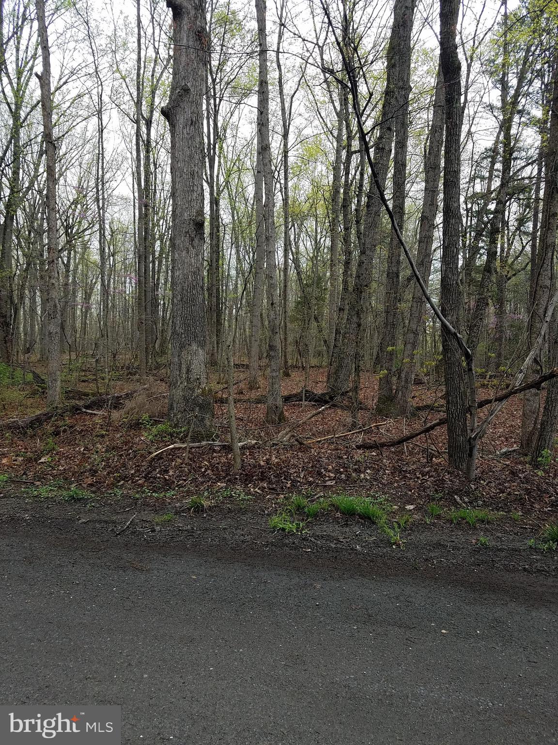 0 Milan Ridge Road Elkwood, VA 22718 - Photo 4 of 8 Gallery Image 4