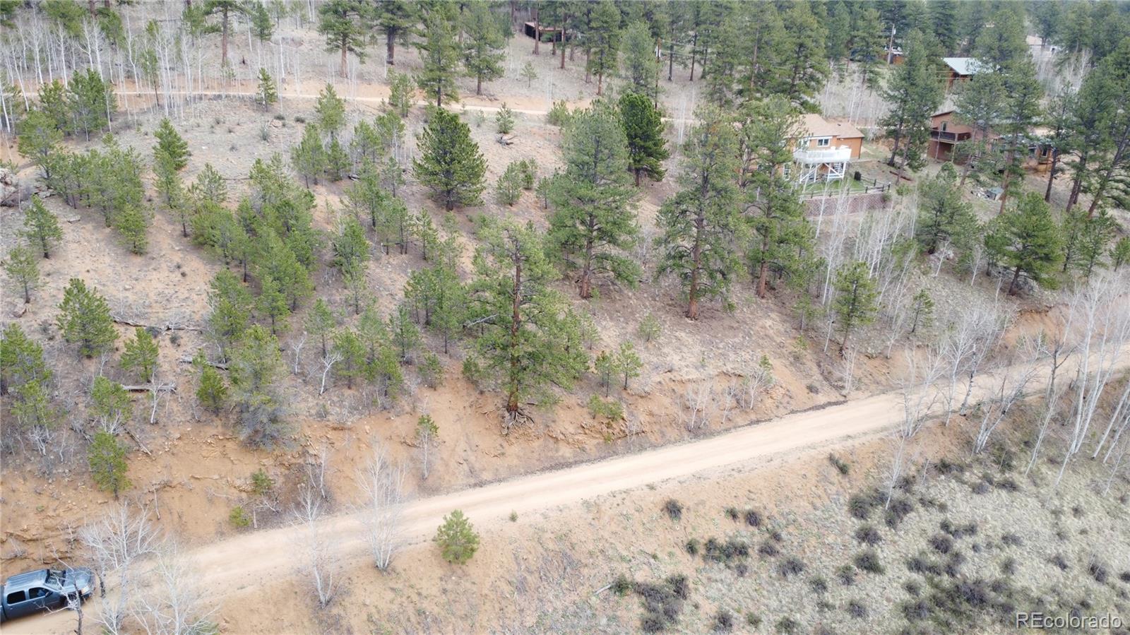 367 Neish Street Bailey, CO 80421 - Photo 4 of 13 a view of a dry yard with trees in the background