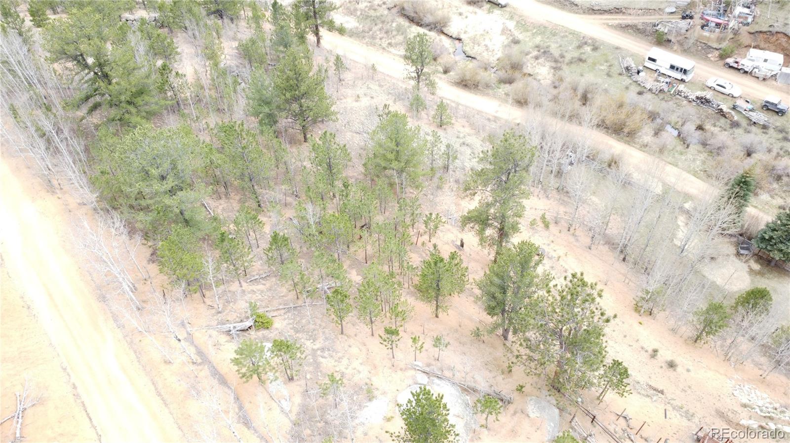 367 Neish Street Bailey, CO 80421 - Photo 10 of 13 a close up of a plant with kitchen