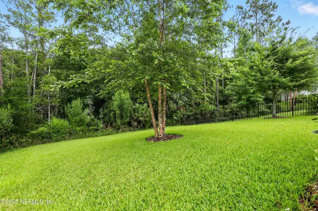 a view of a big yard with palm trees