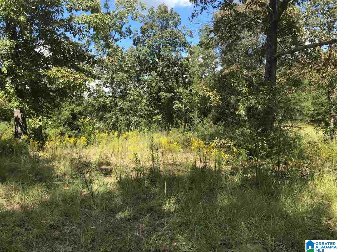 301 Wanda Way, Unit 1 Brierfield, AL 35035 - Photo 3 of 9
