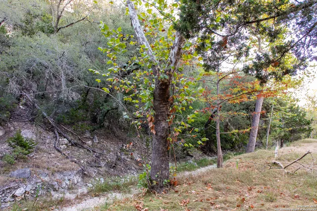 $950,000 | 2844 Bear Springs Road, Pipe Creek, TX 78063