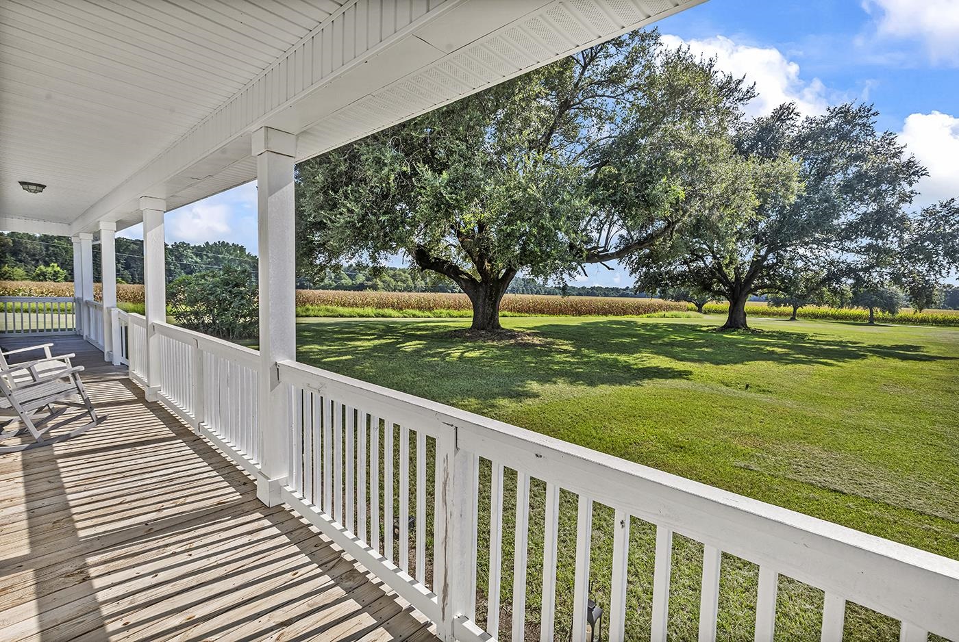 3568 State Rd S-14-401 Alcolu, SC 29001 - Photo 11 of 65 Gallery Image 11