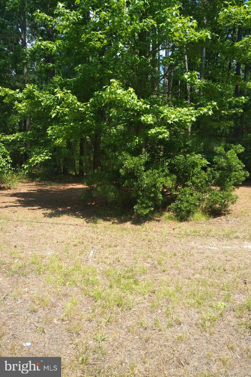 340 North Glebe Road Montross, VA 22520 - Photo 1 of 11 Gallery Image 1