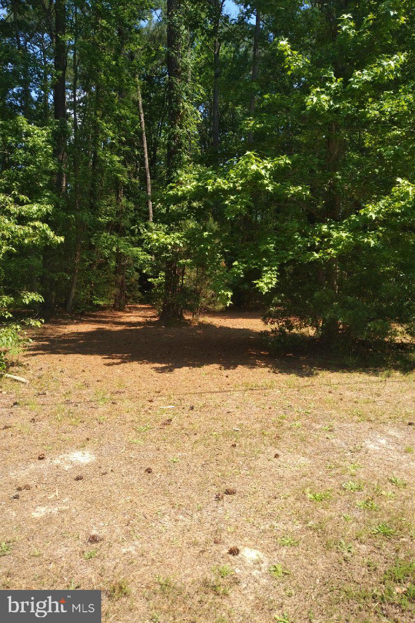 340 North Glebe Road Montross, VA 22520 - Photo 2 of 11 Gallery Image 2