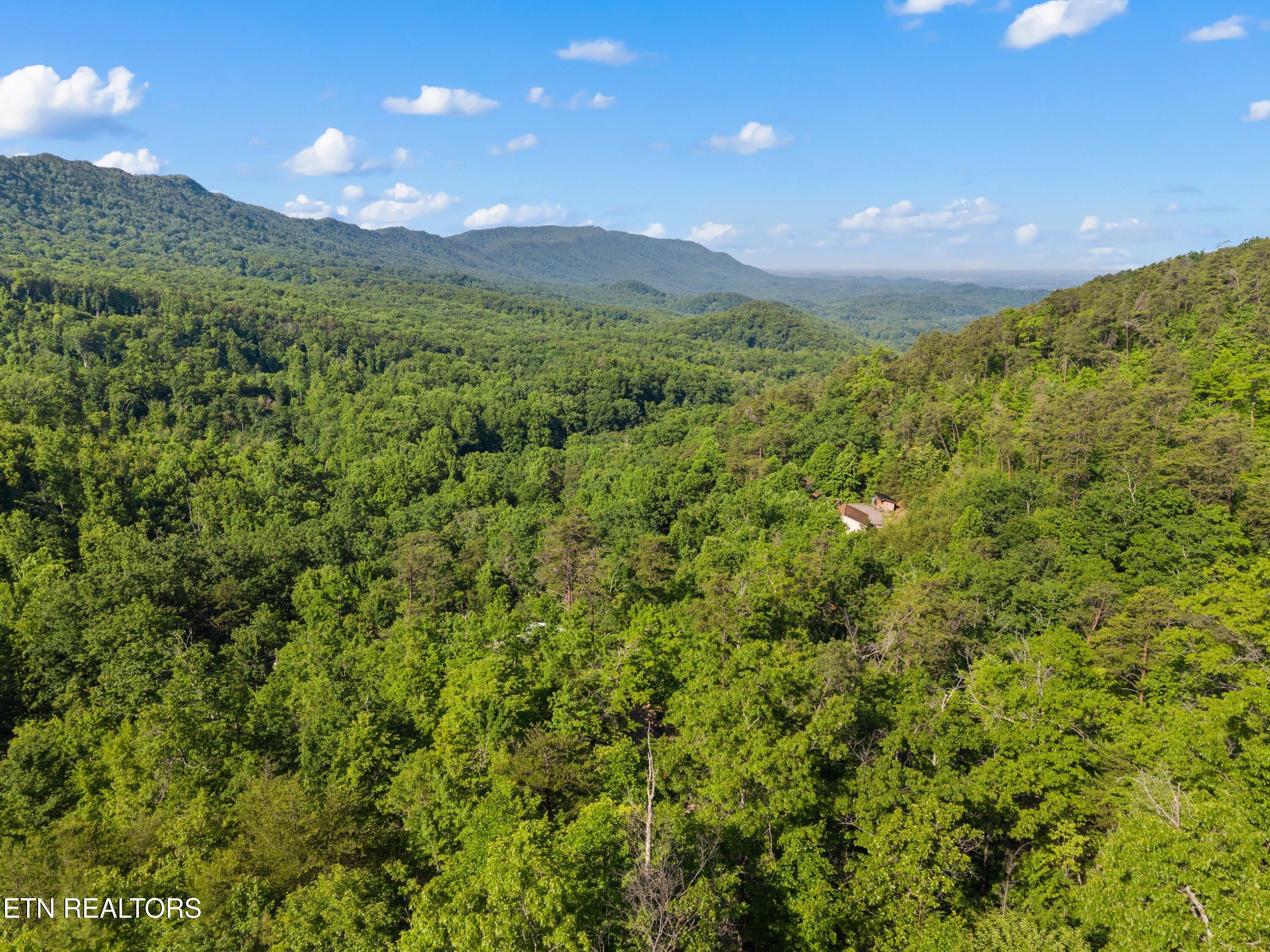 1053 Reagan Springs Road Seymour, TN 37865 - Photo 25 of 25 025-1053ReaganSpringsRd-Seymour-TN-37865