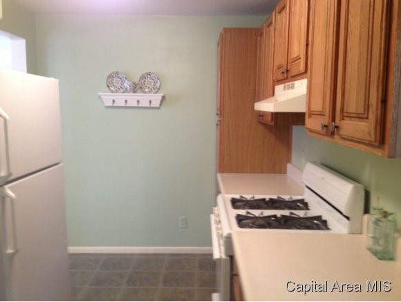 706 Eastman Avenue Springfield, IL 62702 - Photo 7 of 14