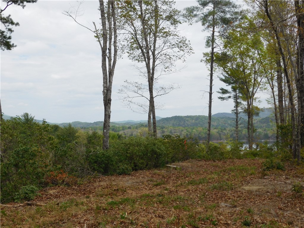 Lot 3 Old Chapman Bridge Road Salem, SC 29676 - Photo 2 of 5