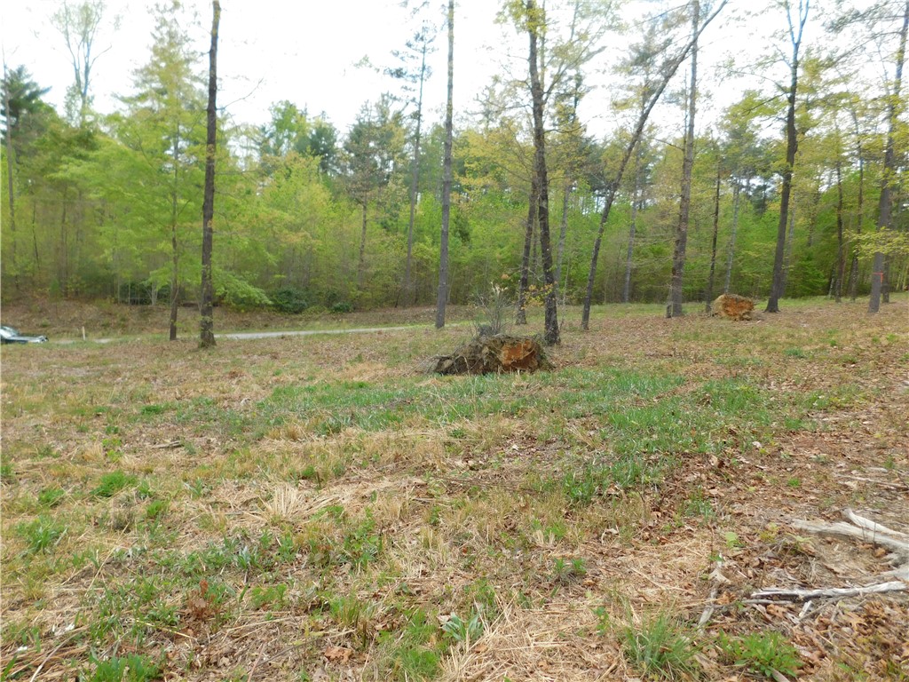 Lot 3 Old Chapman Bridge Road Salem, SC 29676 - Photo 3 of 5