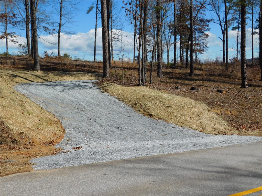 Lot 3 Old Chapman Bridge Road Salem, SC 29676 - Photo 4 of 5