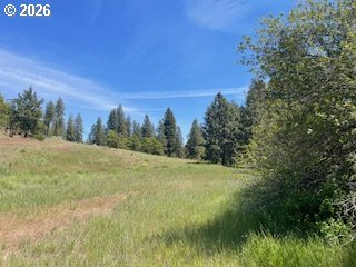 124 Woodland Road Goldendale, WA 98620 - Photo 10 of 27 Gallery Image 10