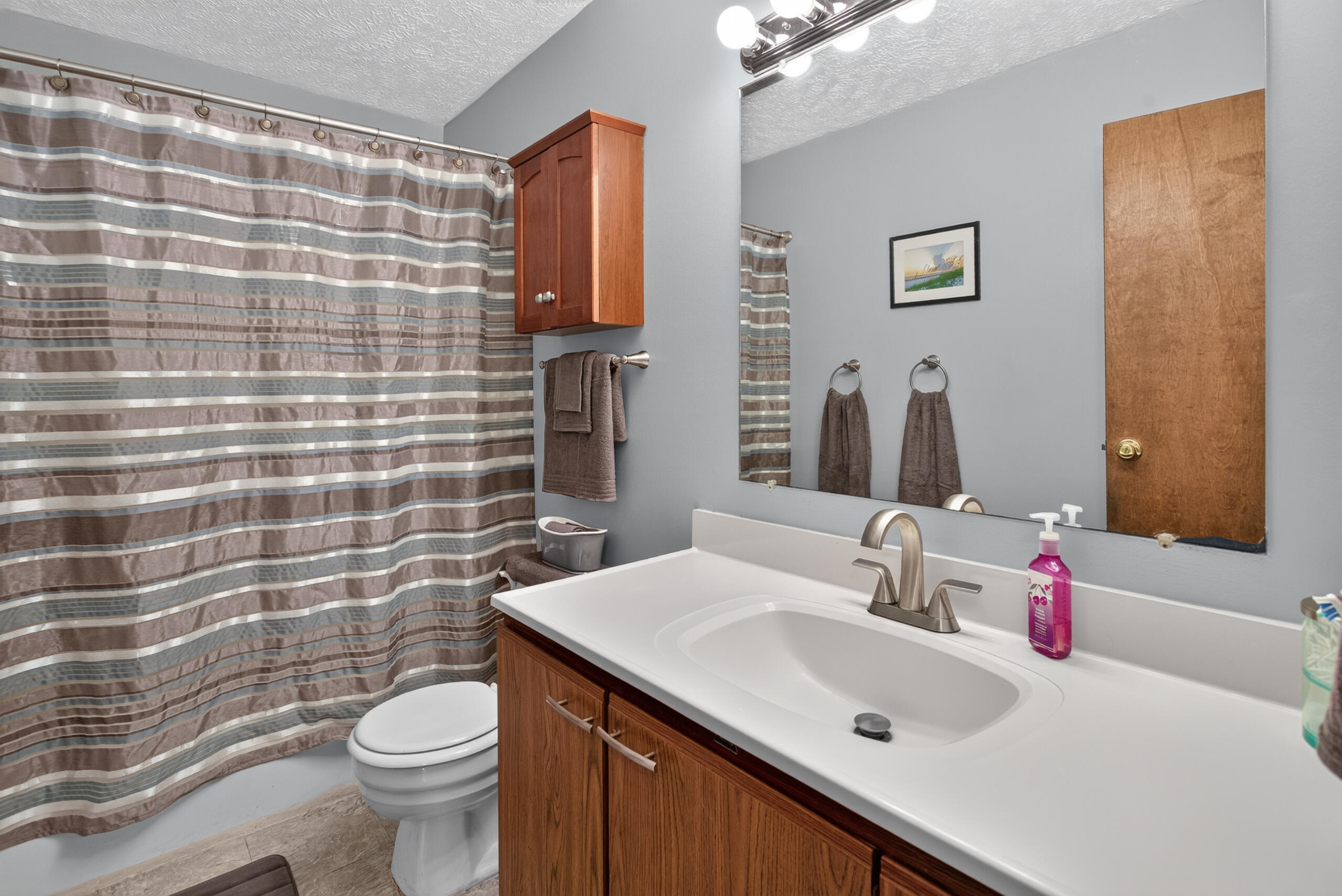 3651 Dexter Trail Stockbridge, MI 49285 - Photo 37 of 54 Bathroom