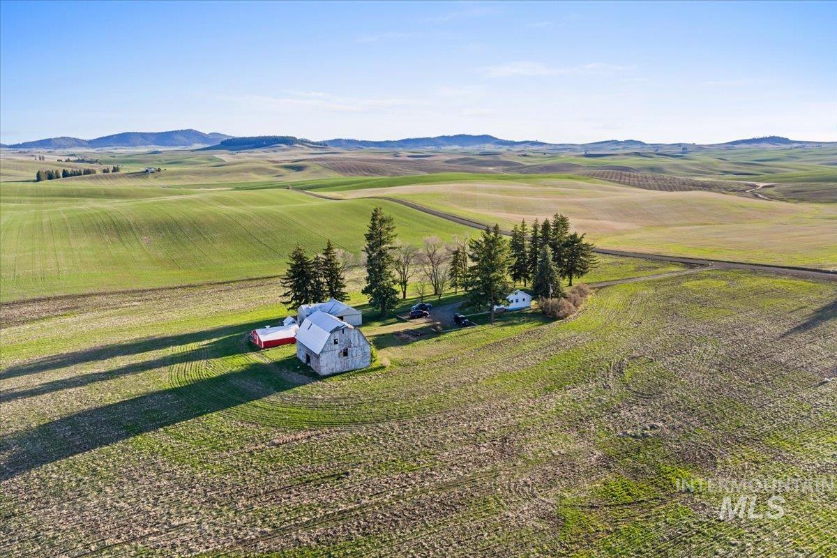 19454 Idaho Road Worley, ID 83876 - Photo 4 of 39 Expansive rural landscape featuring rolling green fields