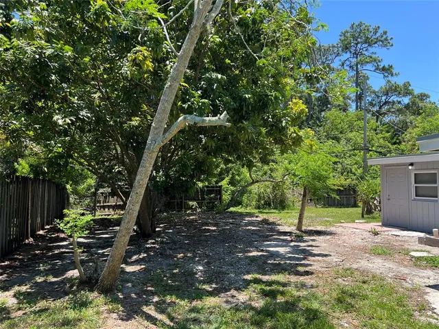 a view of a tree in front of a house