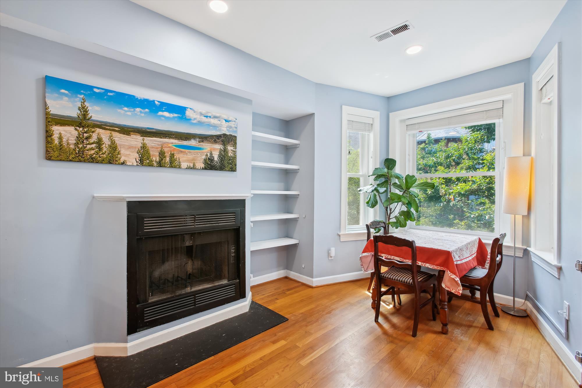 1725 Willard Street Northwest, Unit 3 Washington, DC 20009 - Photo 6 of 32 a living room with furniture and a fireplace