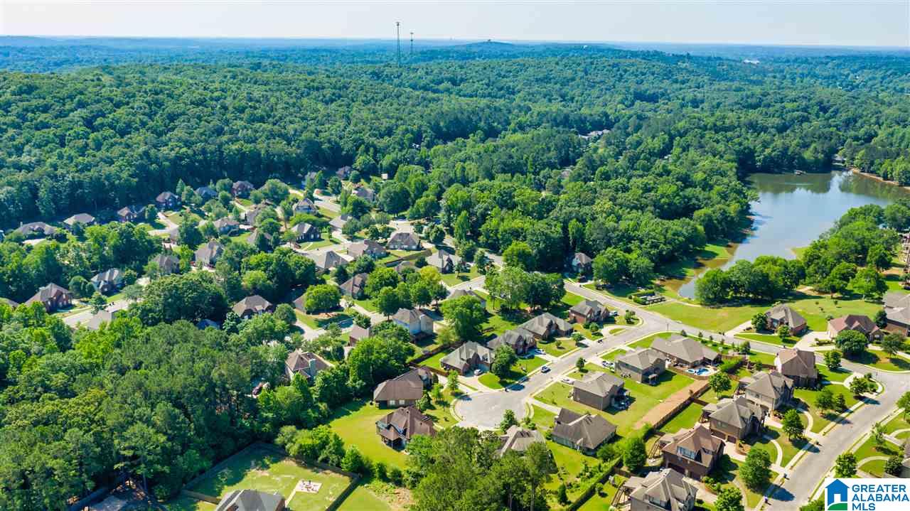 115 Water Elm Drive Alabaster, AL 35114 - Photo 8 of 38