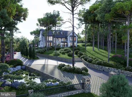 a view of a garden with potted plants and large trees