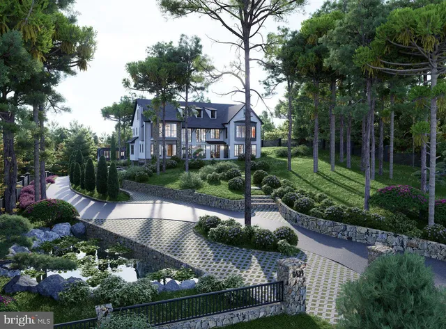 a view of a garden with potted plants and large trees