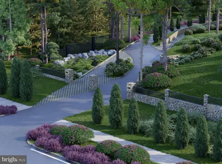 a view of a garden with plants and large trees
