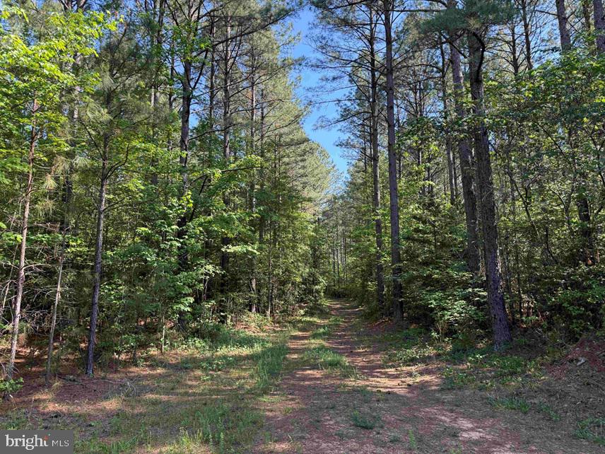 Brandy Creek Road Emporia, VA 23847 - Photo 12 of 15
