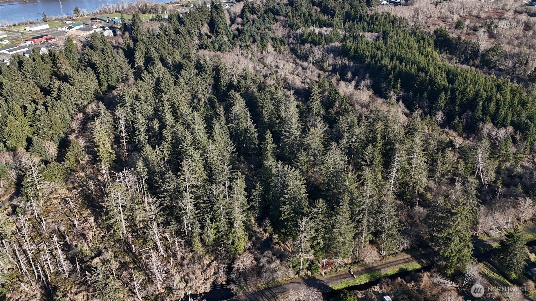9 12203000000th Aberdeen, WA 98520 - Photo 4 of 12 a view of a city with lush green forest