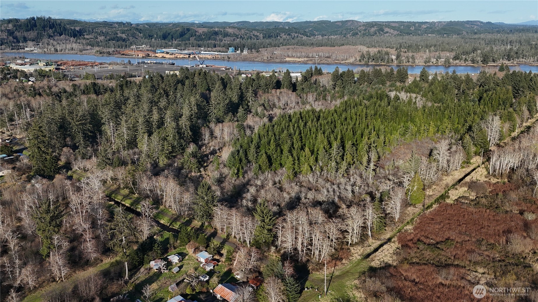 9 12203000000th Aberdeen, WA 98520 - Photo 9 of 12 a view of a forest with a houses