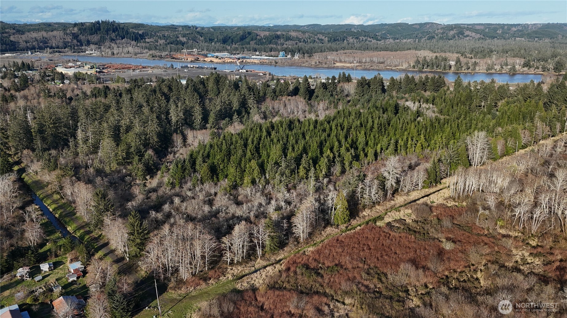 9 12203000000th Aberdeen, WA 98520 - Photo 10 of 12 a view of a green field with lots of bushes