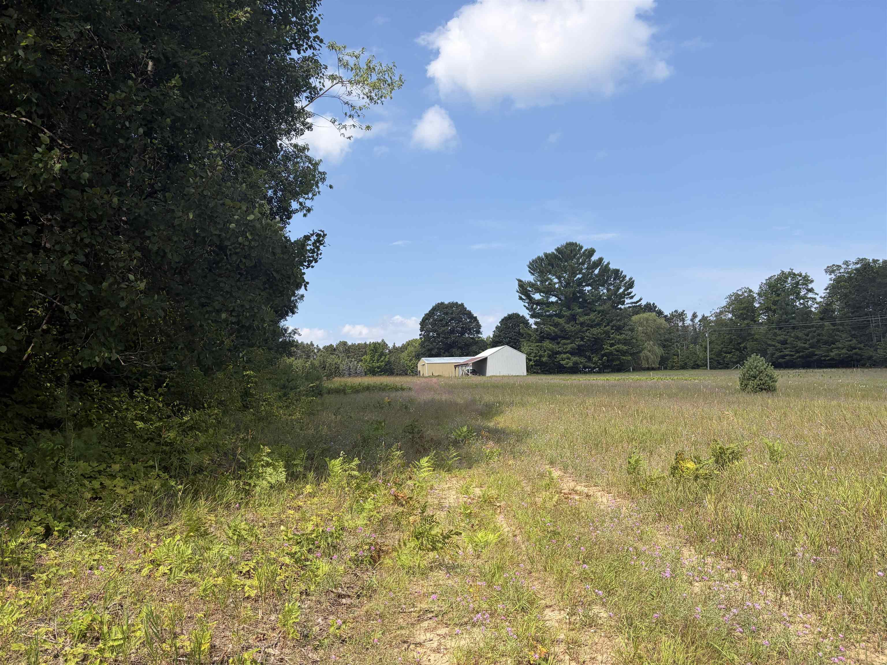 19172 Cedar Run Road Traverse City, MI 49684 - Photo 6 of 8 1949224-63fc9306-5607-488d-a87b-c60ead3bdf8b.JPG