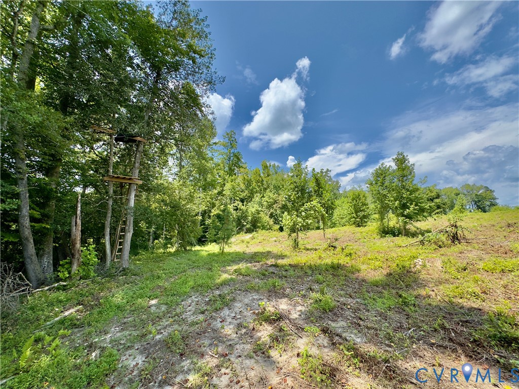 71-22 Rainey Road Dinwiddie, VA 23841 - Photo 12 of 15