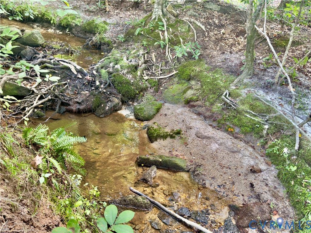 71-22 Rainey Road Dinwiddie, VA 23841 - Photo 5 of 15 picturesque creek