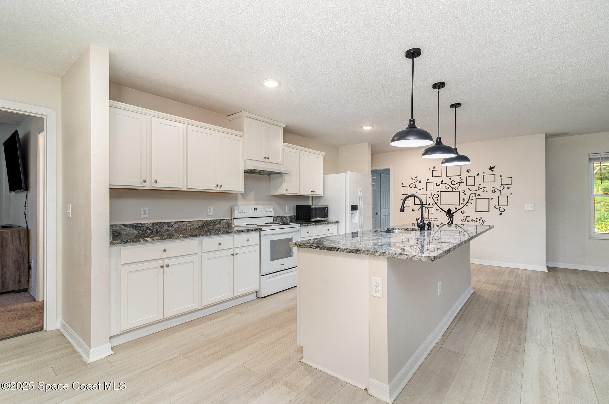 5651 Travis Street Mims, FL 32754 - Photo 9 of 26 008_img_1438-edit_719