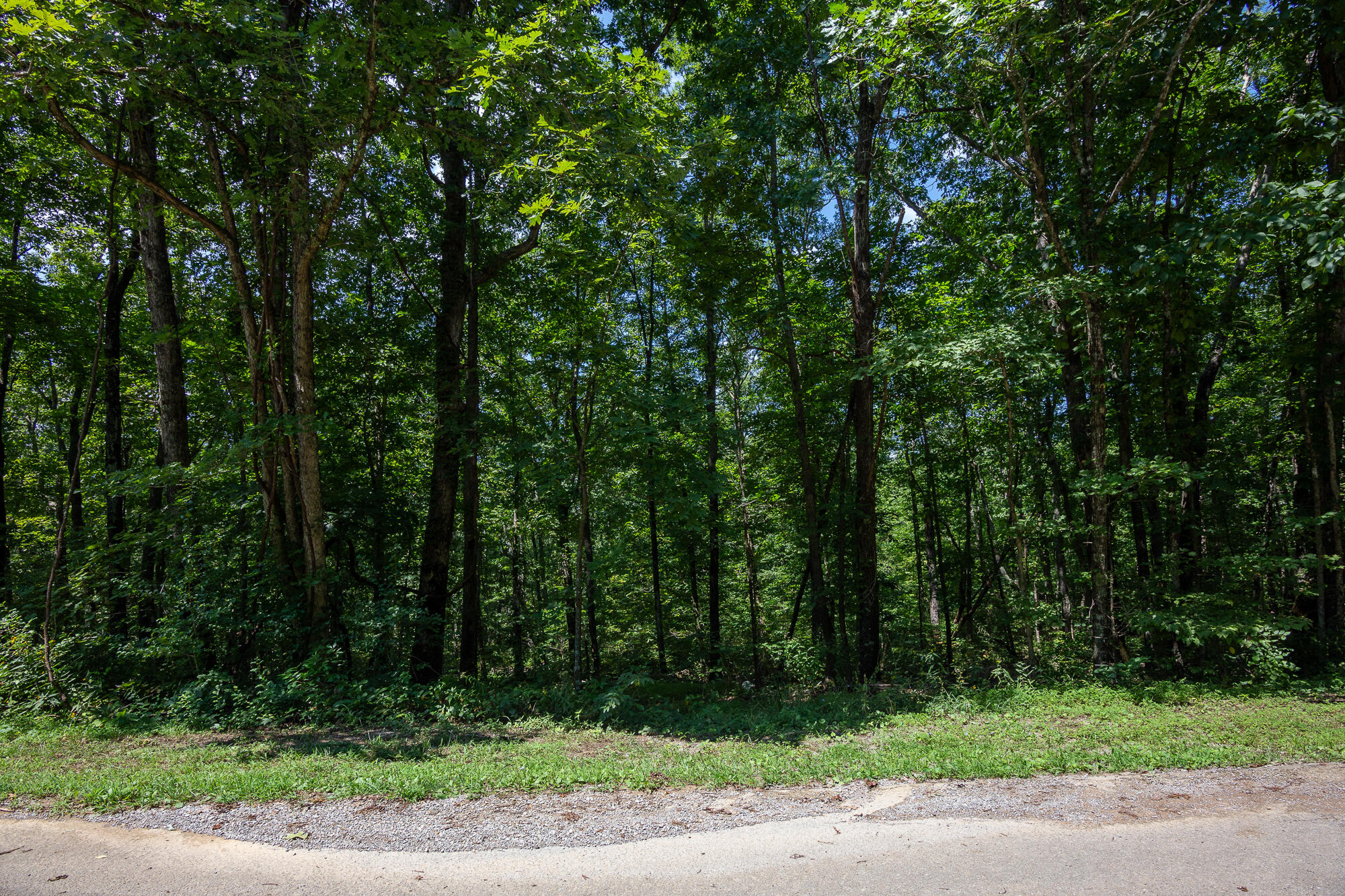 0 Lookout Drive, Unit 4 Rising Fawn, GA 30738 - Photo 22 of 25 20210823_Lot4LookoutDrive_HoltWebb_0021
