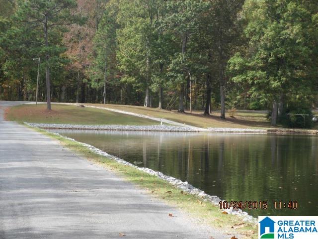 0 Lake Tate Road, Unit 38 Sylacauga, AL 35151 - Photo 4 of 11