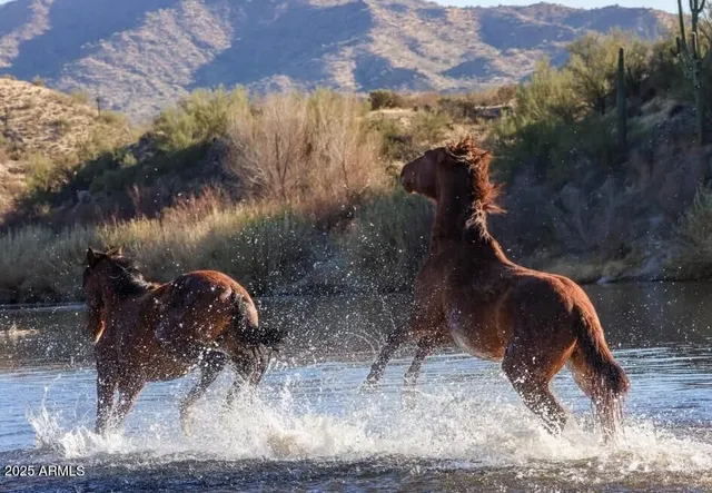 $449,999 | 6973 East Hacienda La Noria Lane, Gold Canyon, AZ 85118