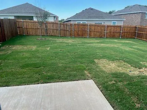a view of a backyard with a garden