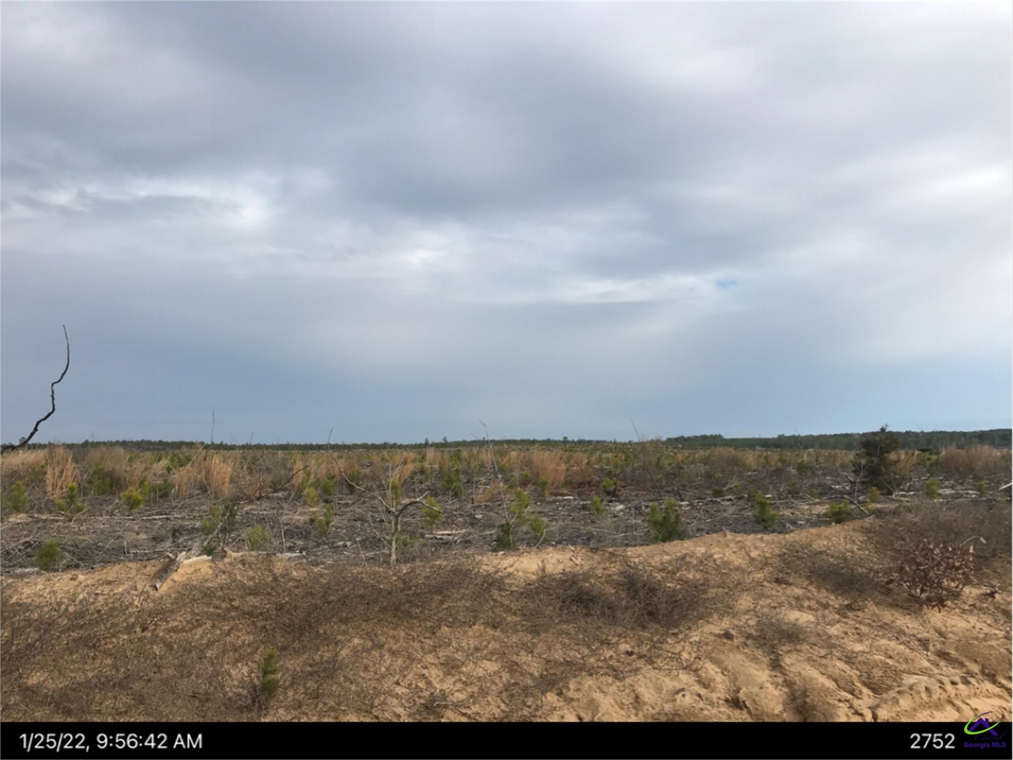 0 Woodall Farm Road Mauk, GA 31058 - Photo 1 of 1