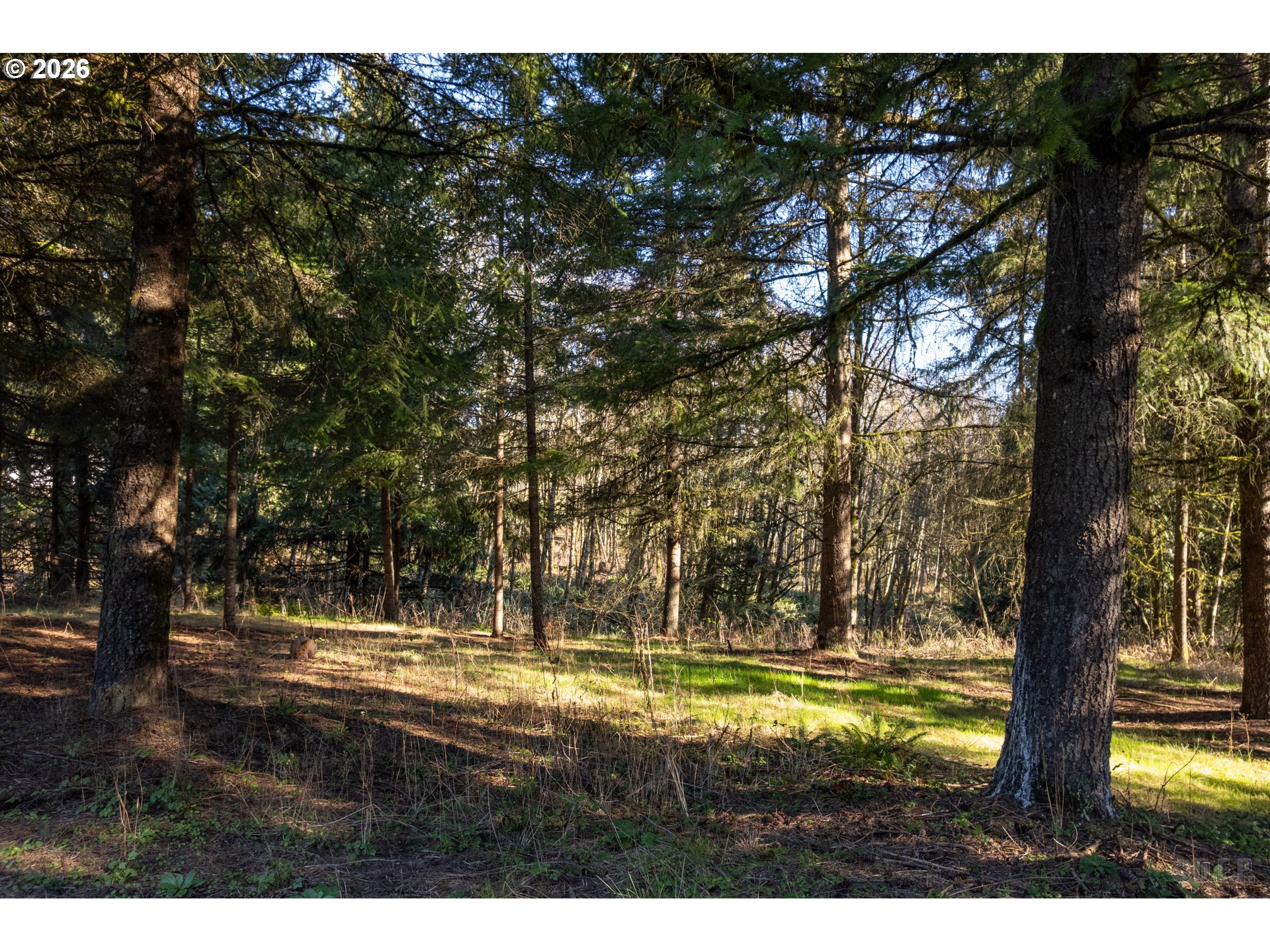 32580 Tide Creek Road Deer Island, OR 97054 - Photo 27 of 32
