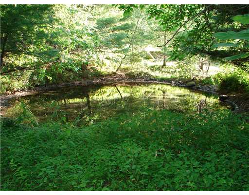 46 Cucumber Hill Road Foster, RI 02825 - Photo 8 of 11 Yard/Garden. Pond