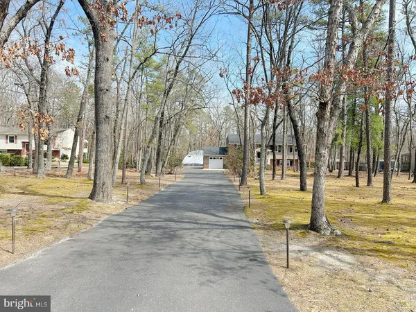 a view of yard with trees
