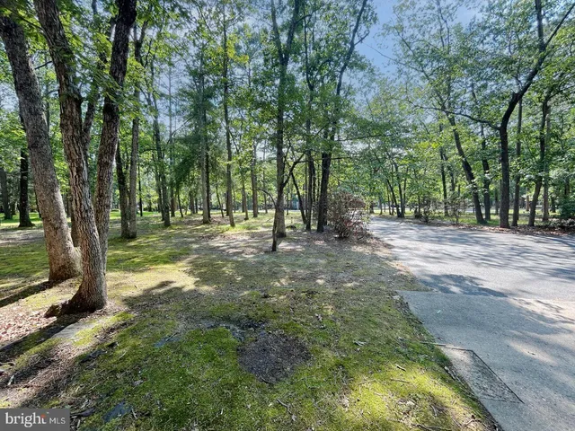 a view of a house with backyard and trees