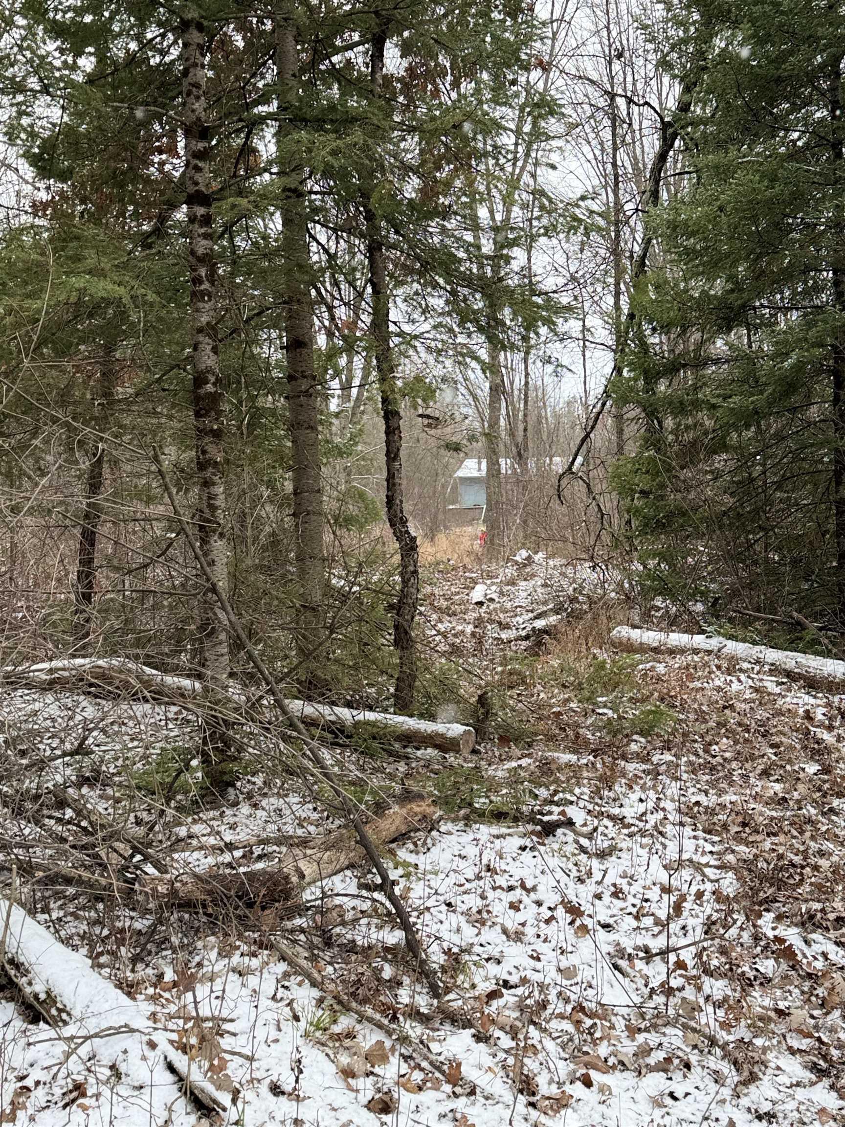 2356 Muskegon Road Harrison, MI 48625 - Photo 22 of 22 50146448-4b6b61e0-ab8f-4656-891f-19ac3f7cd425.JPG