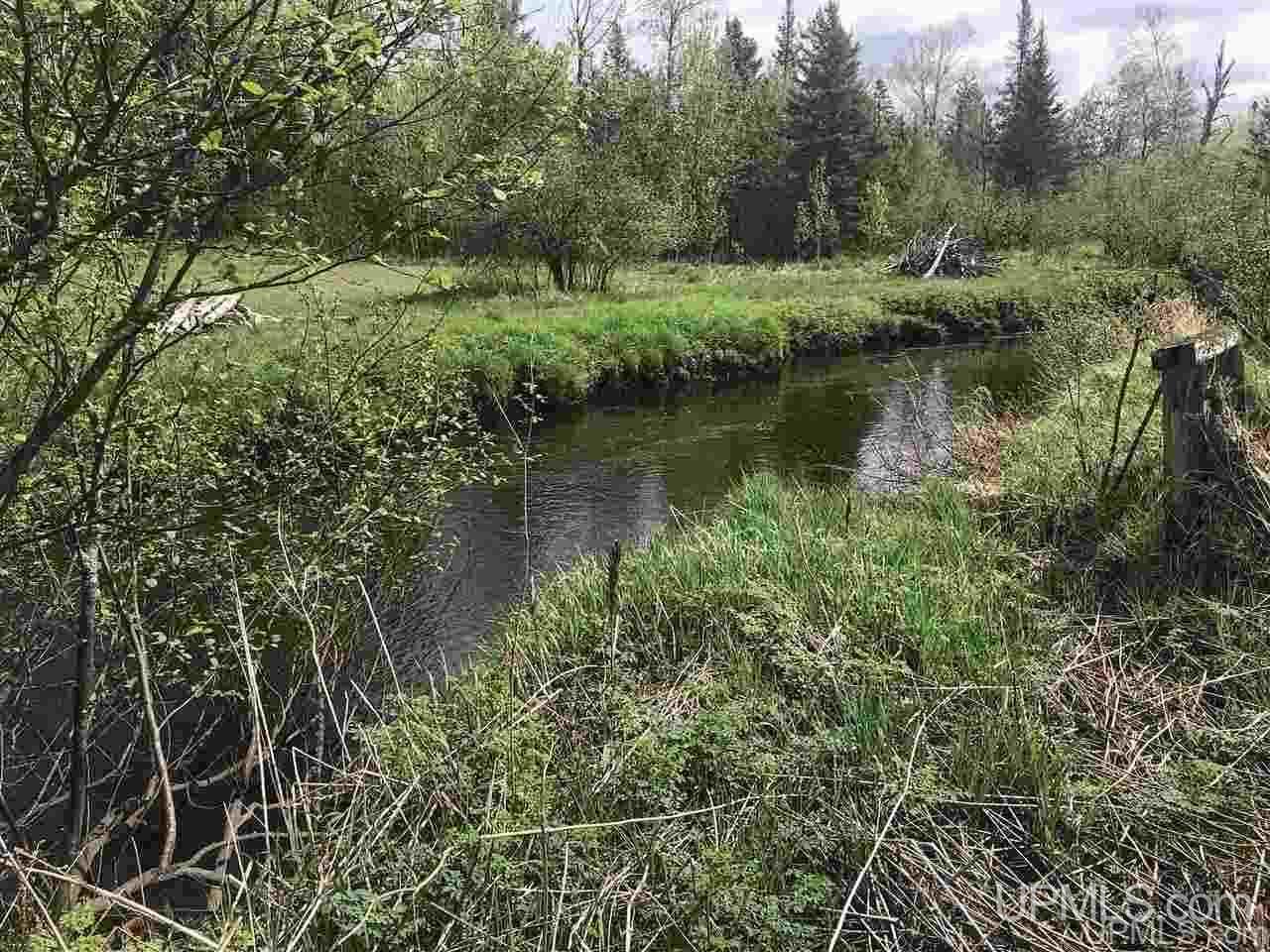 W1695 Co Road Felch, MI 49831 - Photo 14 of 50