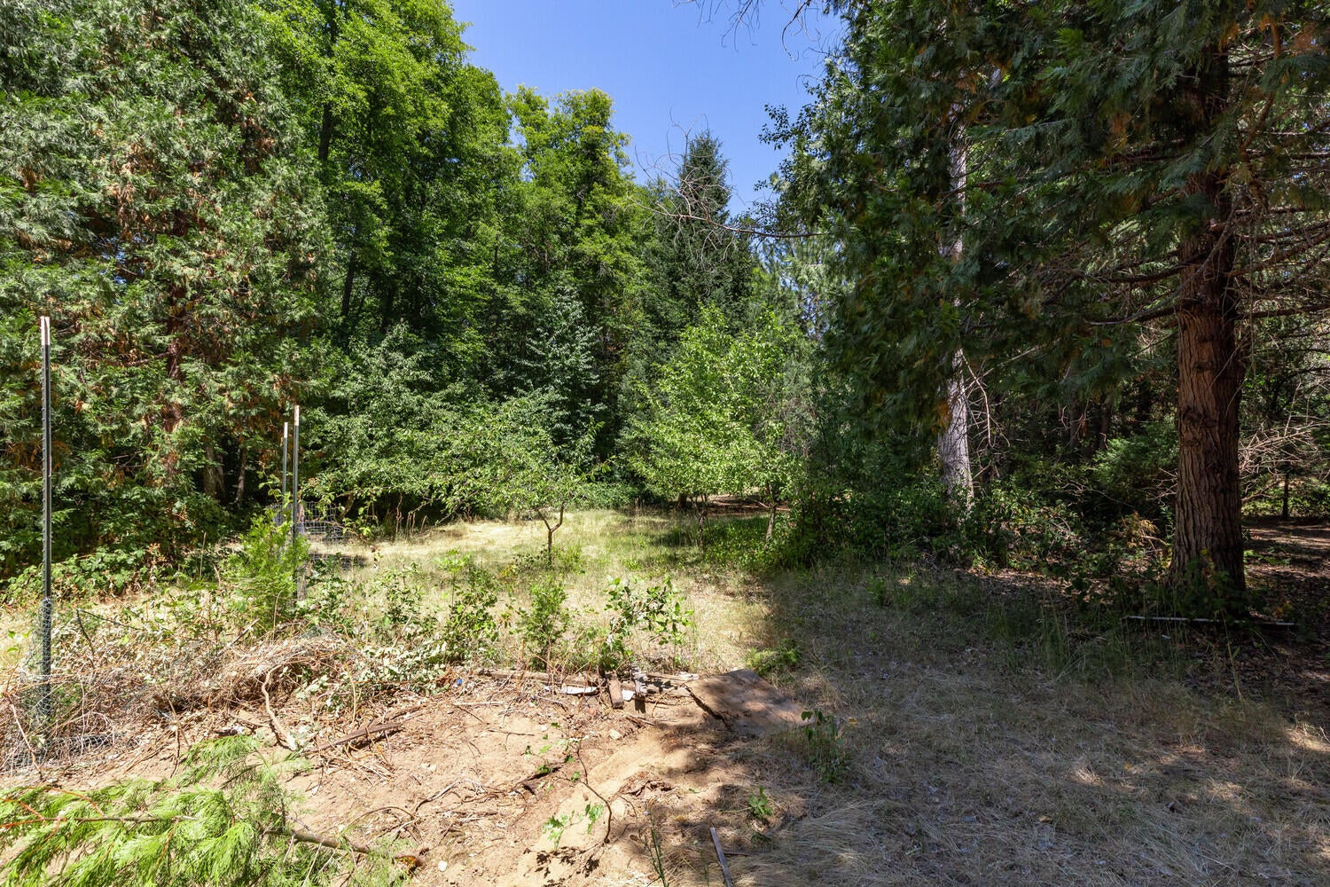 2475 Cedar Flat Road Williams, OR 97544 - Photo 50 of 61 19_CFR_20_mls