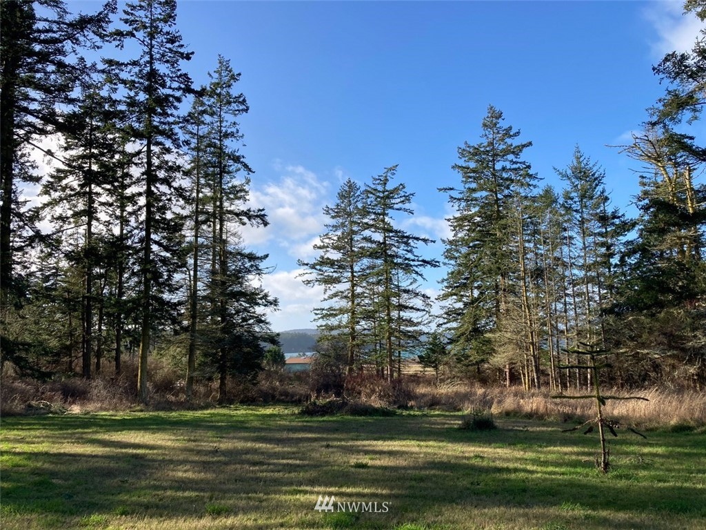 0 Bowers Road Anacortes, WA 98221 - Photo 1 of 10