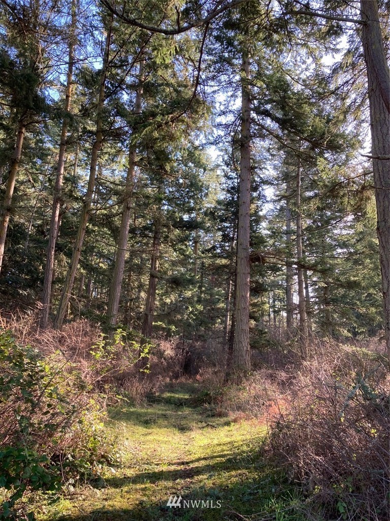 0 Bowers Road Anacortes, WA 98221 - Photo 3 of 10