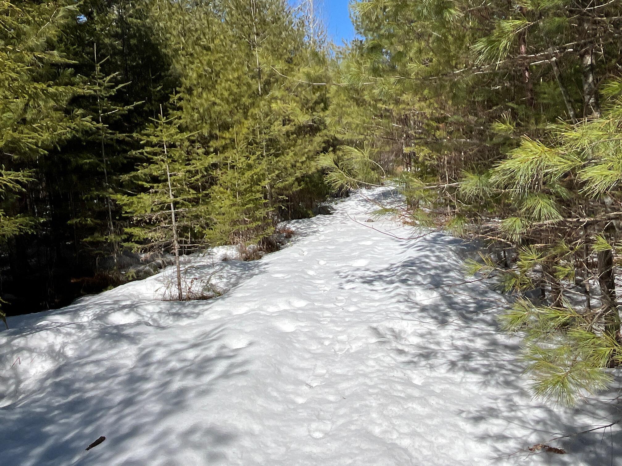 479 Main Road Eddington, ME 04428 - Photo 14 of 28 trail4