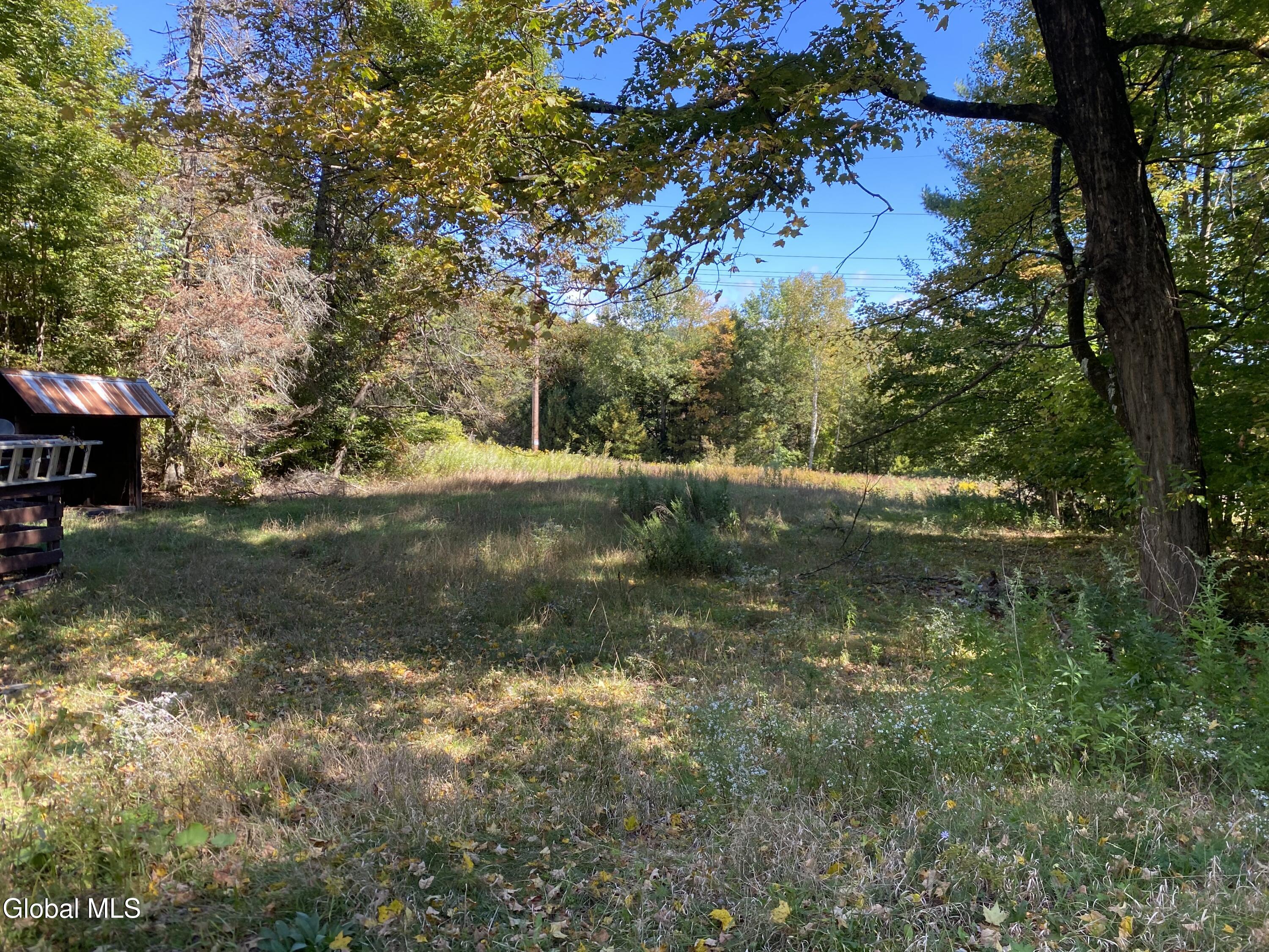 4408 State Route 9 Warrensburg, NY 12885 - Photo 18 of 23 IMG_9863