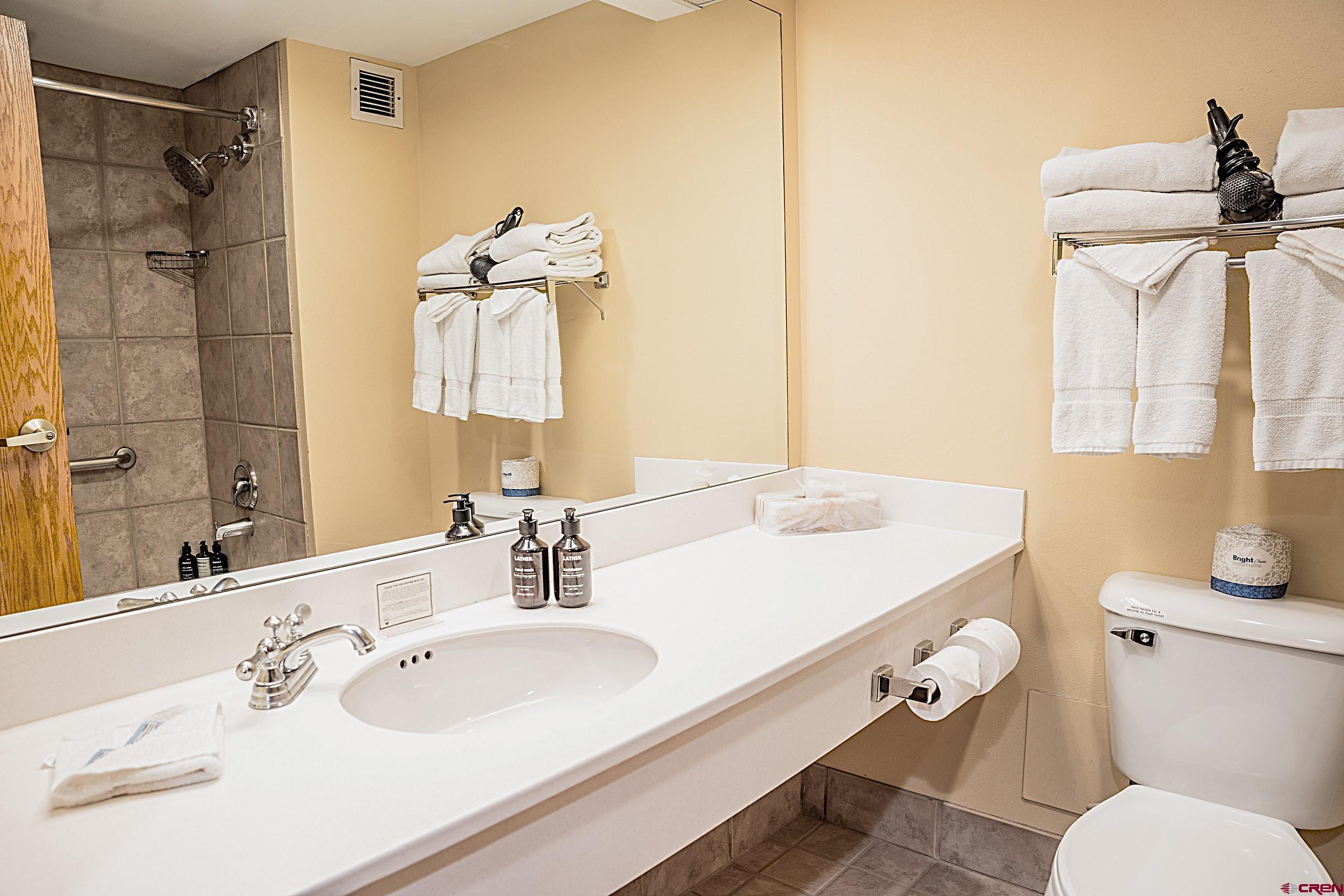 6 Emmons Road, Unit 259 Crested Butte, CO 81225 - Photo 14 of 20